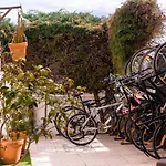 Хостел Pineapple Surf House *