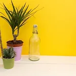Хостел Pineapple Surf House *