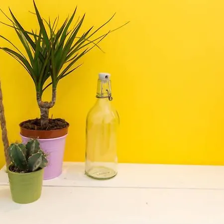 Vandrerhjem Pineapple Surf House *
