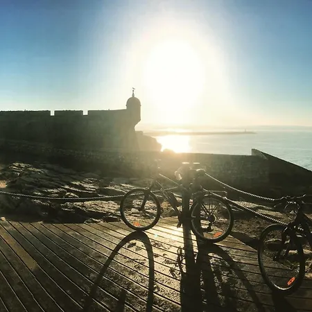 Pineapple Surf House Hostel