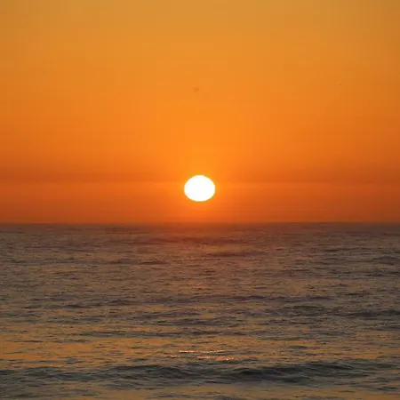 Pineapple Surf House