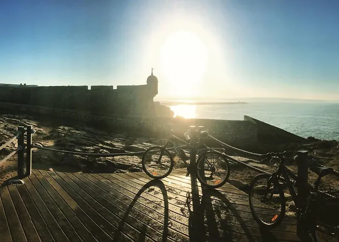 Pineapple Surf House Hostel