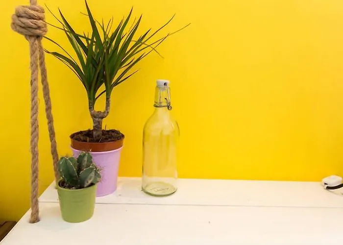 Hostel Pineapple Surf House *