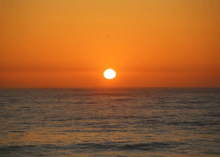 Pineapple Surf House